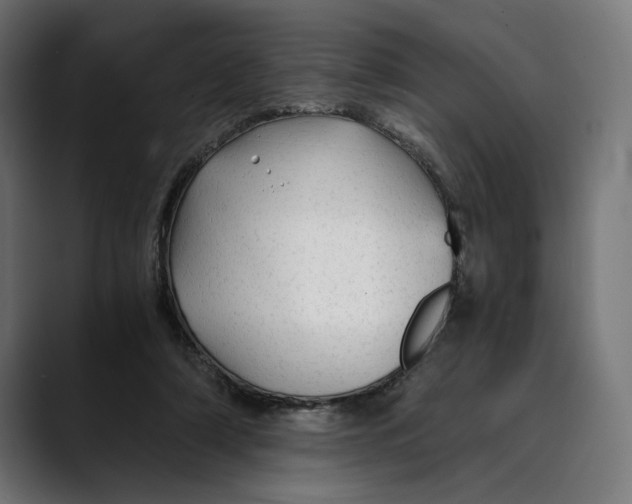 X0000088910306200707061350