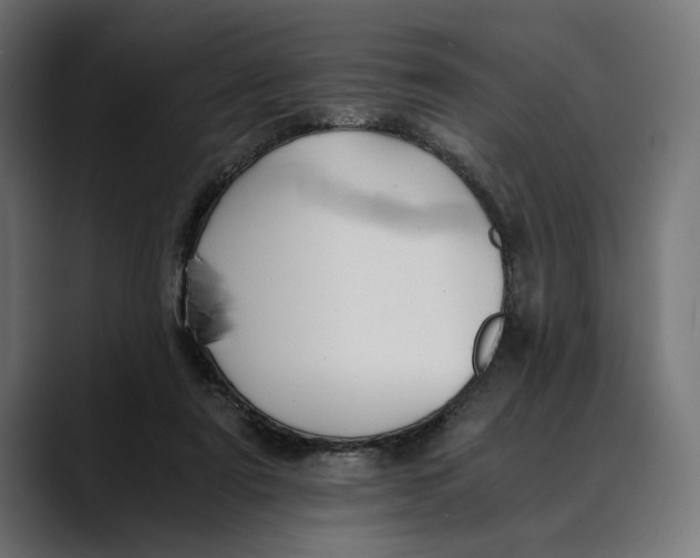 X0000088910307200707061350