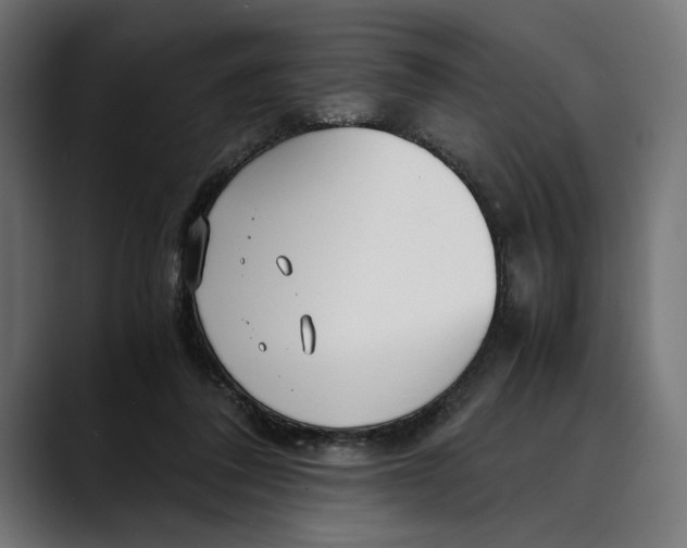 X0000088910308200707061350