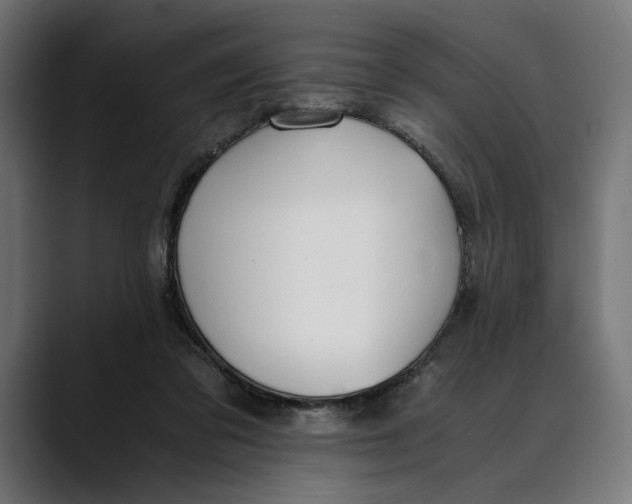 X0000088910309200707061350