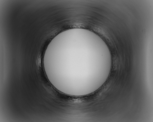 X0000088910310200707061350