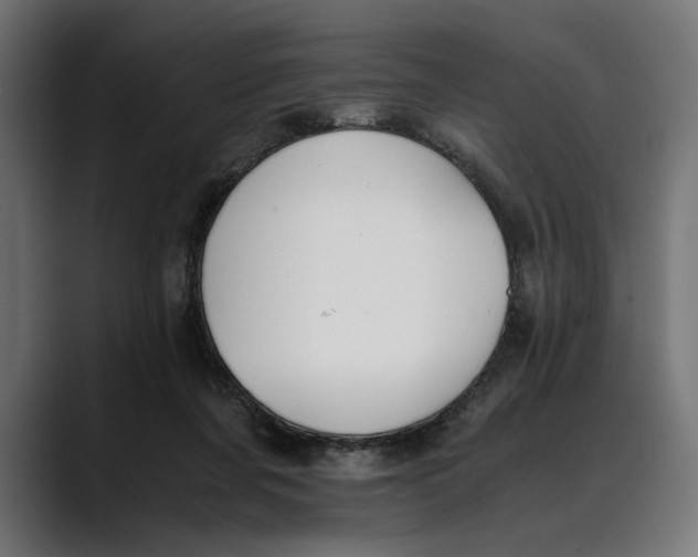 X0000088910311200707061350