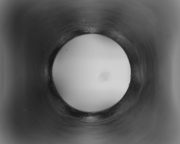 X0000088910312200707061350