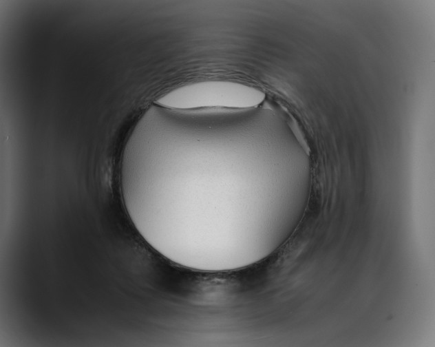 X0000088910315200707061350