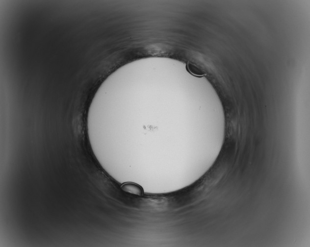 X0000088910317200707061350