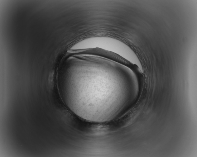 X0000088910319200707061350