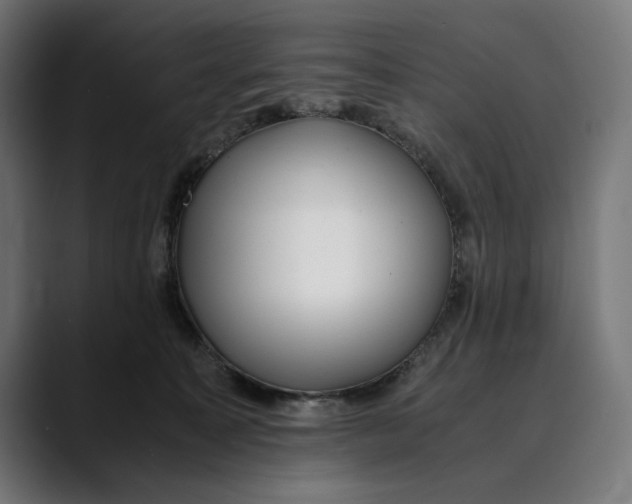 X0000088910323200707061350