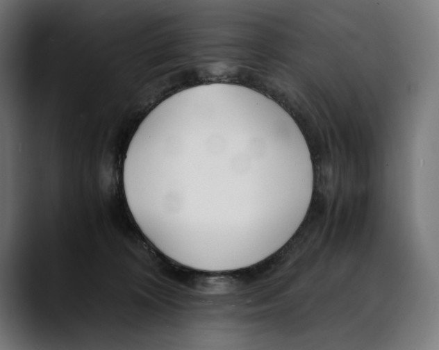 X0000088910324200707061350