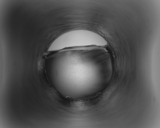 X0000088910325200707061350