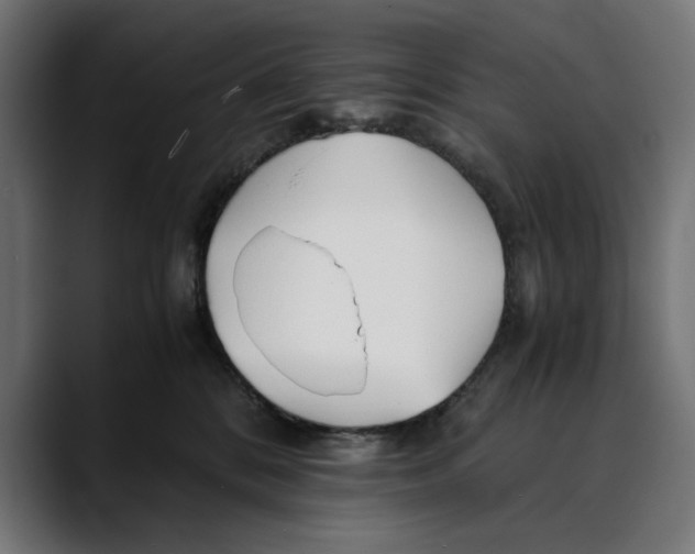 X0000088910328200707061350