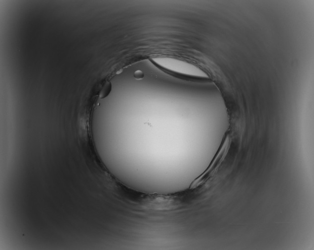 X0000088910329200707061350