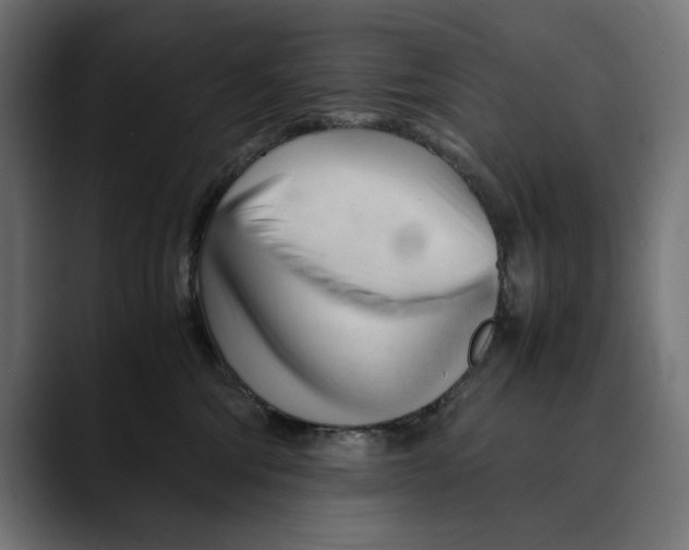 X0000088910330200707061350