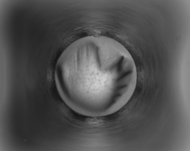 X0000088910331200707061350