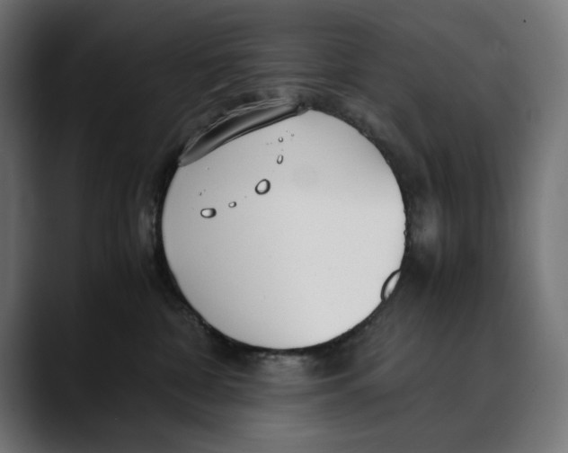 X0000088910332200707061350