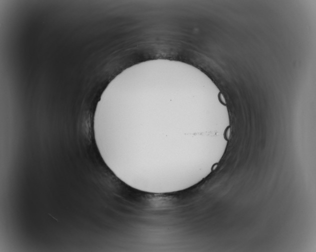 X0000088910336200707061350