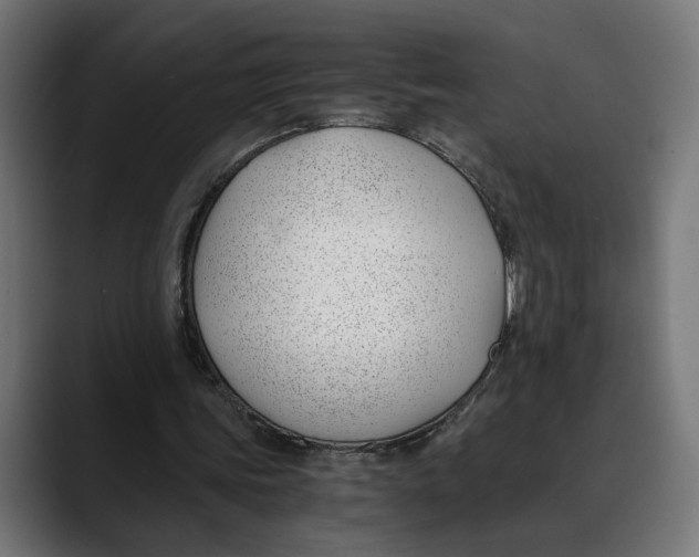 X0000088910339200707061349