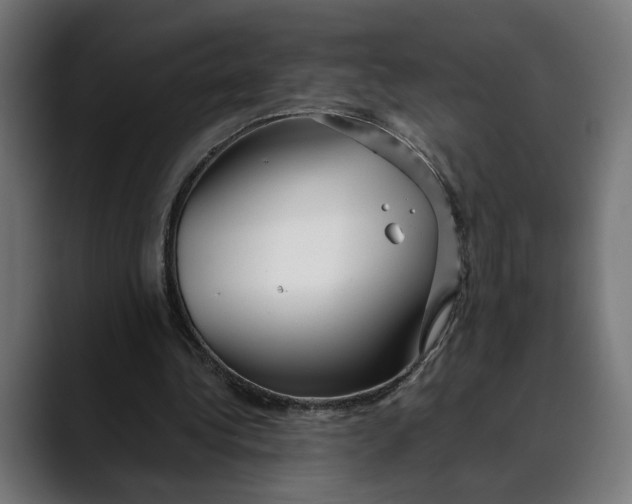 X0000088910340200707061349