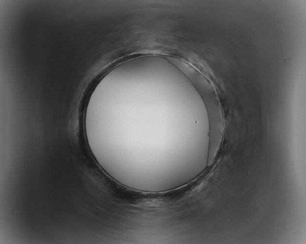 X0000088910344200707061349