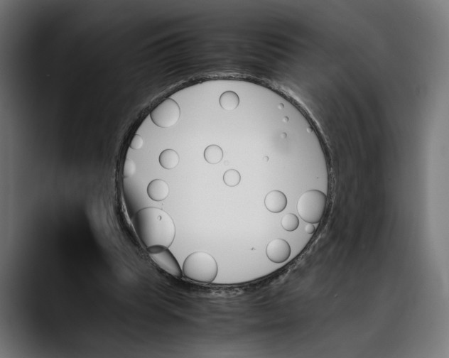 X0000088910345200707061349