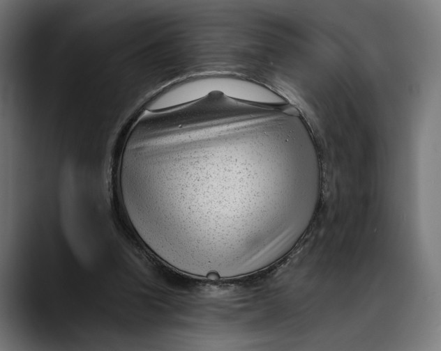 X0000088910346200707061349