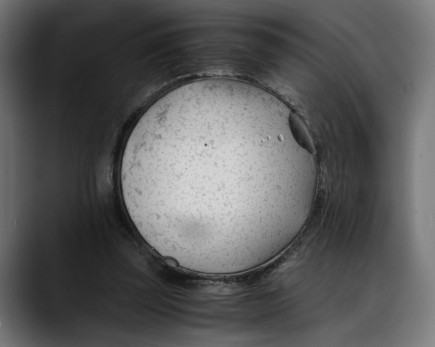 X0000088910347200707061349