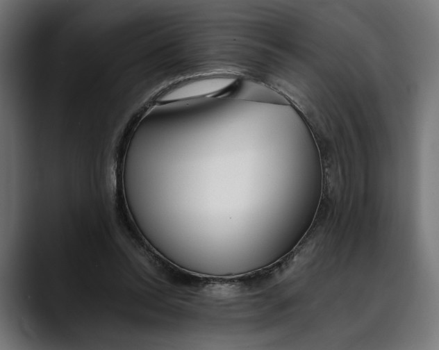 X0000088910350200707061349