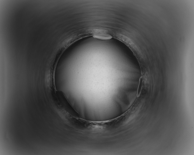 X0000088910352200707061349