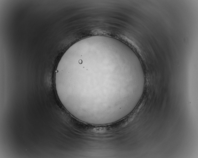 X0000088910353200707061349