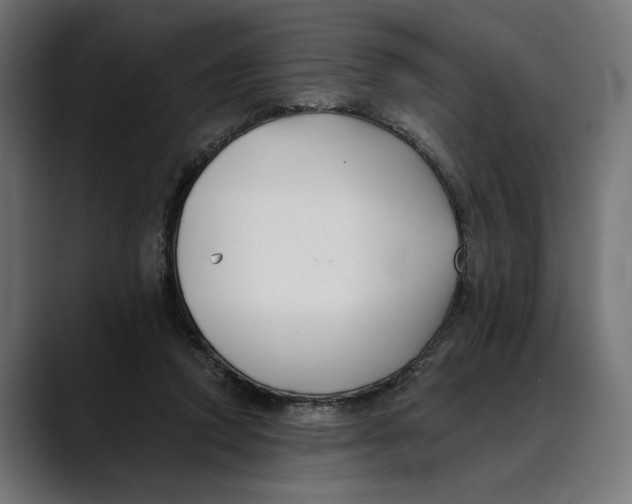 X0000088910354200707061349