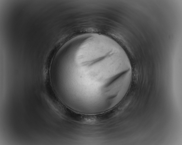 X0000088910355200707061349