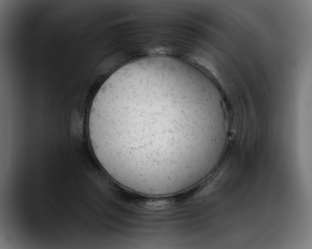 X0000088910357200707061349