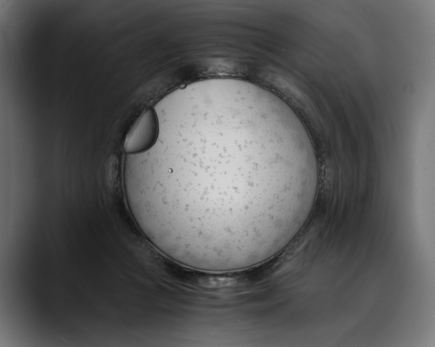 X0000088910361200707061349