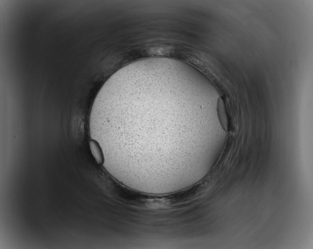 X0000088910363200707061349