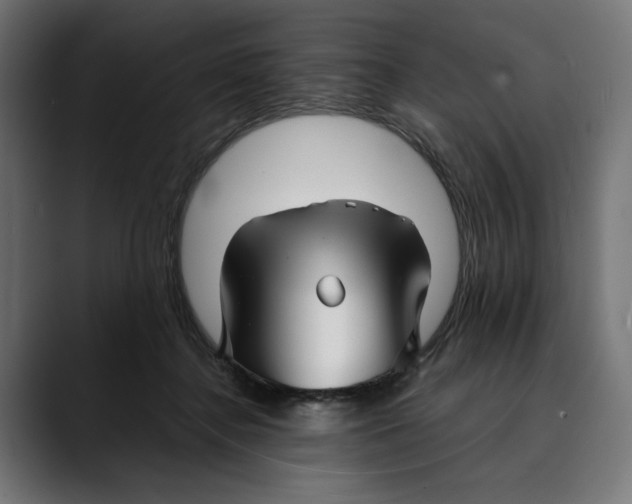 X0000088910364200707061349