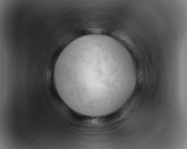 X0000088910365200707061349