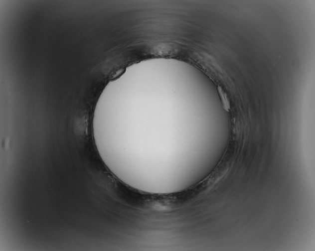 X0000088910368200707061349