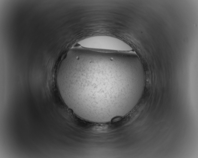 X0000088910369200707061349