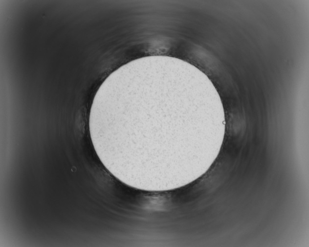 X0000088910370200707061349