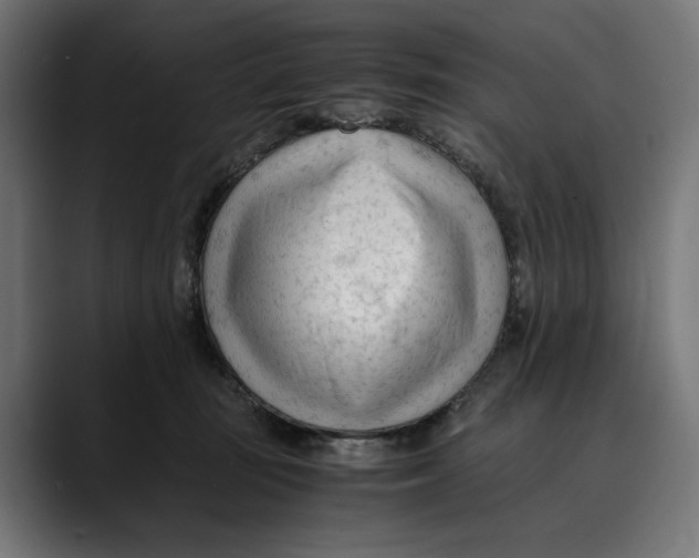 X0000088910371200707061349