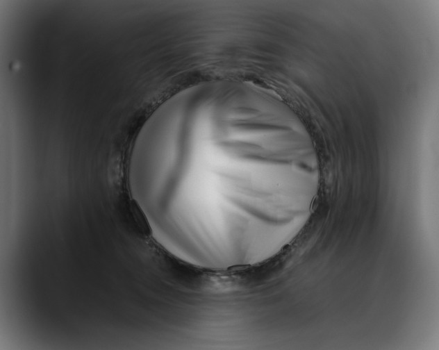 X0000088910372200707061350