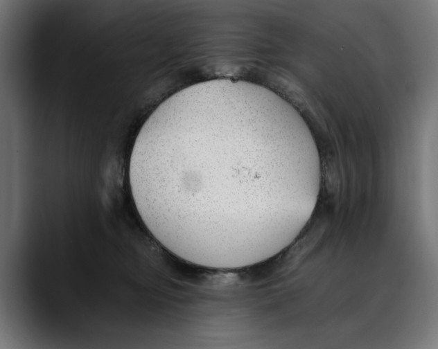 X0000088910374200707061350