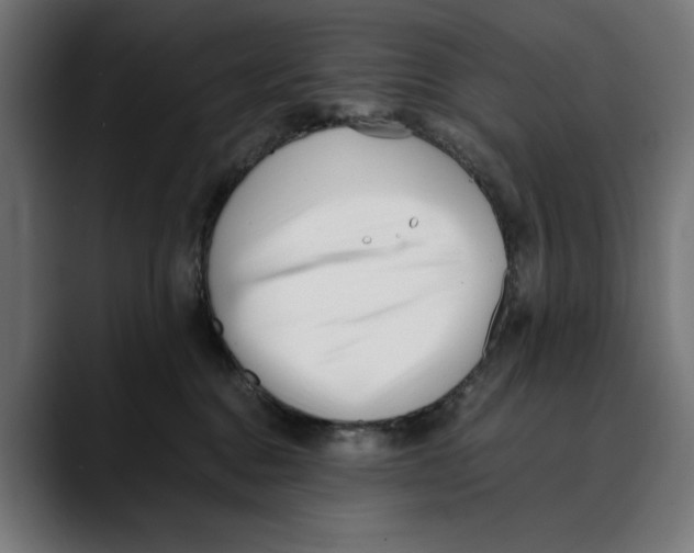 X0000088910376200707061350