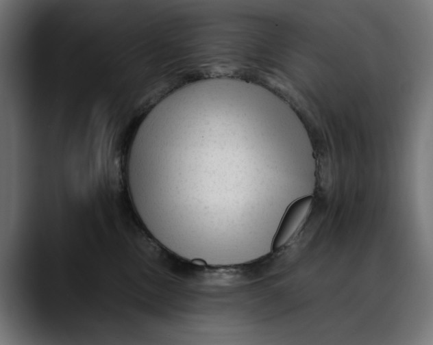 X0000088910378200707061350