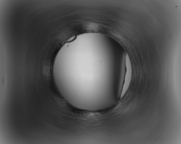 X0000088910379200707061350