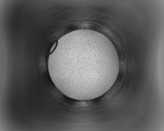 X0000088910381200707061350