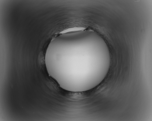 X0000088910384200707061350