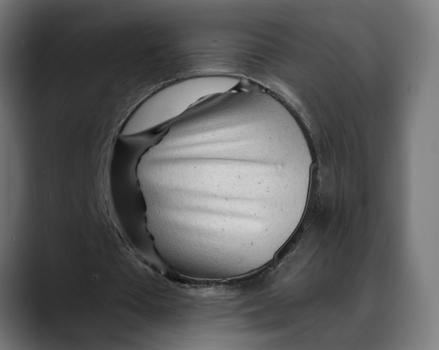 X0000088910385200707061349