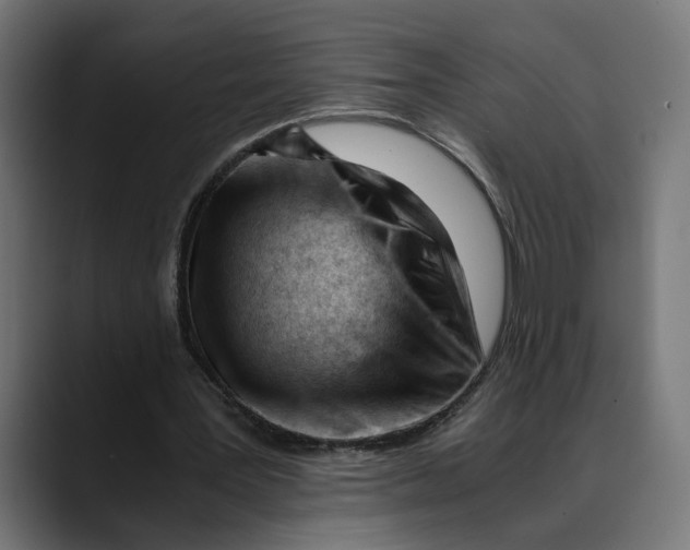 X0000088910387200707061349