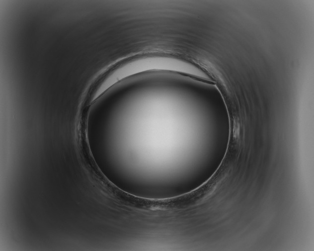 X0000088910388200707061349