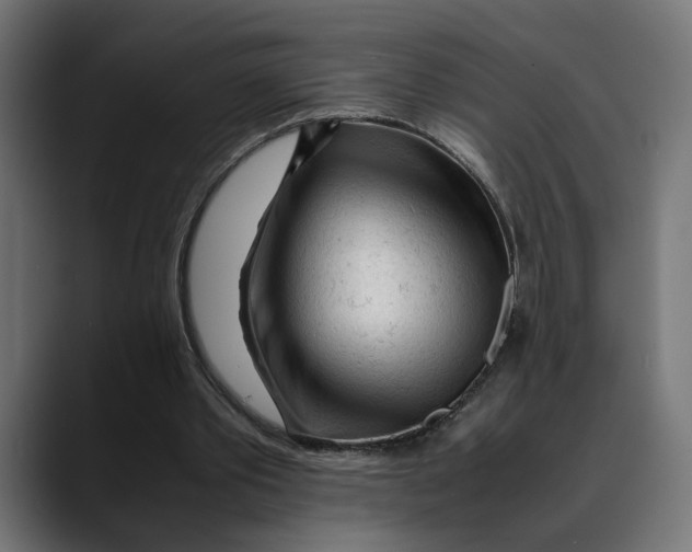 X0000088910389200707061349